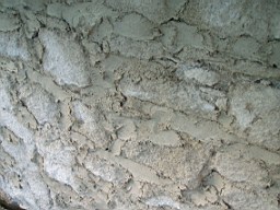 christchurch -1404.jpg